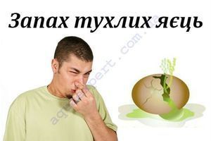 Сірководень, або чому вода має запах тухлих яєць? фото