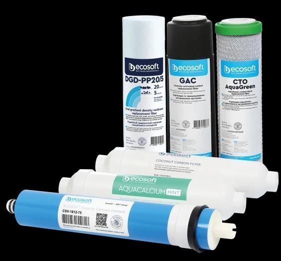 Комплект картриджів Ecosoft PURE AquaCalcium Mint "12 місяців" CHV6PUREMAC фото
